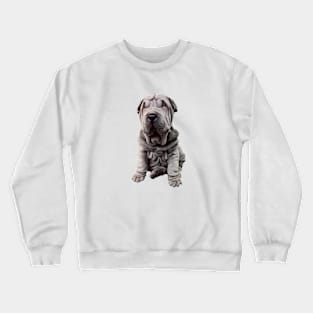 Shar Pei Cute Blue Puppy Dog Crewneck Sweatshirt